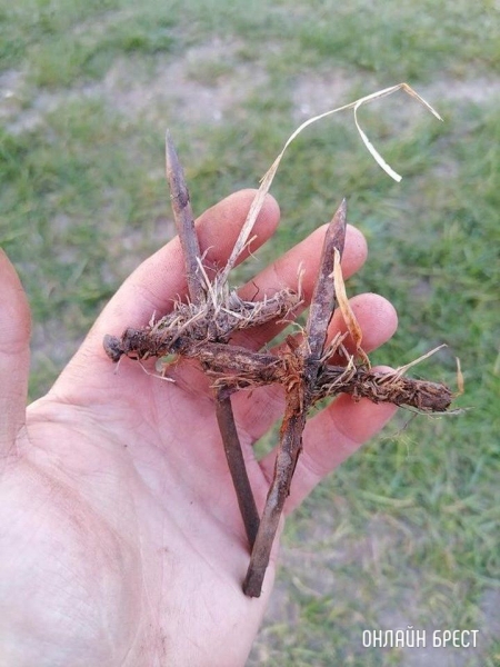 Читатель: Брестский район, д.Волки. Поехали отдохнуть на природу и ужаснулись от происходящего
Читатель: Брестский район, д.Волки. Поехали отдохнуть на природу и ужаснулись от происходящего