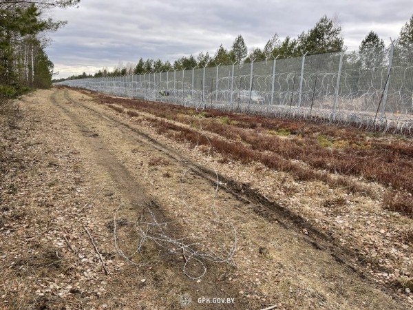 Погранкомитет: за неделю литовские пограничные заграждения «убили» четыре лося. Фото Погранкомитет: за неделю литовские пограничные заграждения «убили» четыре лося. Фото