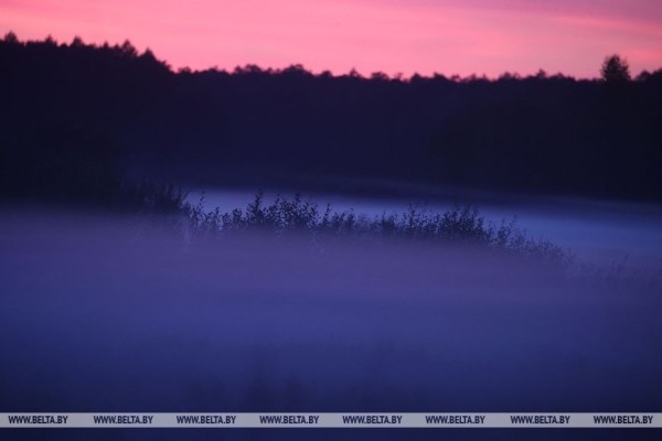 Осеннее утро в Беловежской пуще Осеннее утро в Беловежской пуще