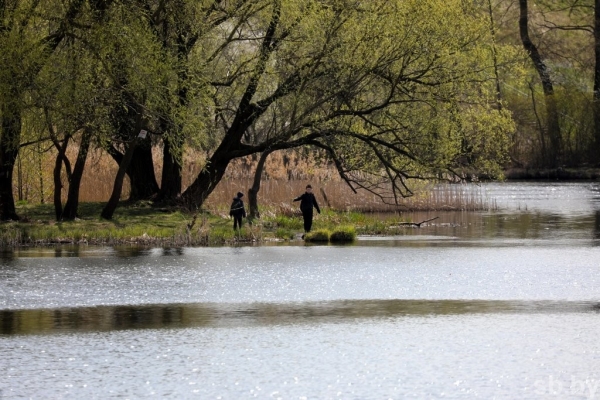 В Бресте ввели в строй пятый участок реконструированной набережной. И это еще не все
