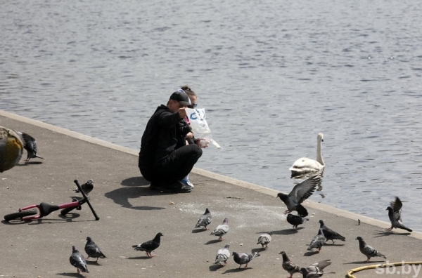 В Бресте ввели в строй пятый участок реконструированной набережной. И это еще не все