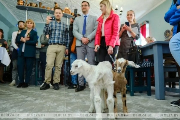 На Брестчине (аг. Стригинь) открылся Центр поддержки предпринимательства На Брестчине (аг. Стригинь) открылся Центр поддержки предпринимательства