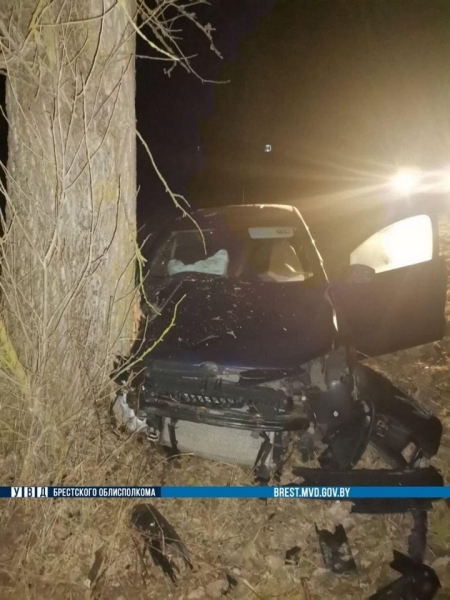 Осудили водителя, по вине которого погиб пассажир под Барановичами Осудили водителя, по вине которого погиб пассажир под Барановичами