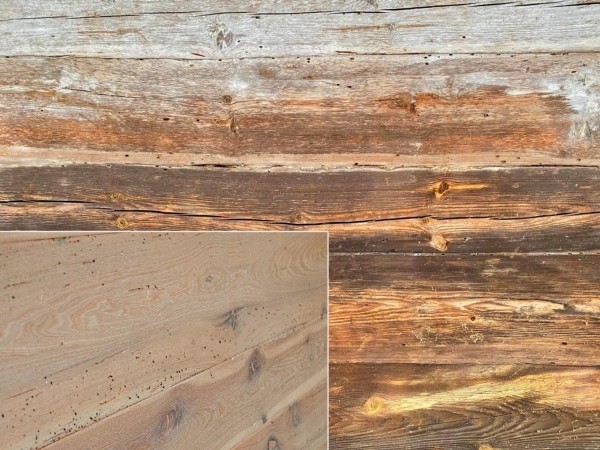 Индивидуальный подход и качественный сервис! Эти популярные услуги в Бресте определенно вам пригодятся Индивидуальный подход и качественный сервис! Эти популярные услуги в Бресте определенно вам пригодятся