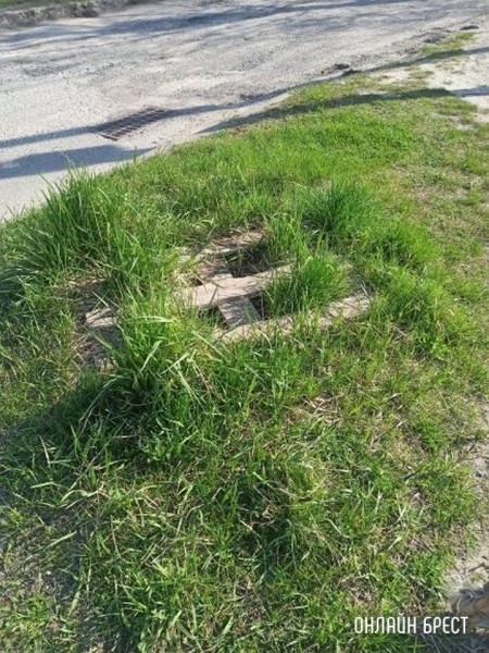 
                Читатель: хочу поделиться такой проблемой, дабы избежать последствий
            