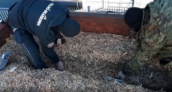 Таможня в Тересполе: пресечен ряд попыток контрабанды сигарет из Беларуси Таможня в Тересполе: пресечен ряд попыток контрабанды сигарет из Беларуси