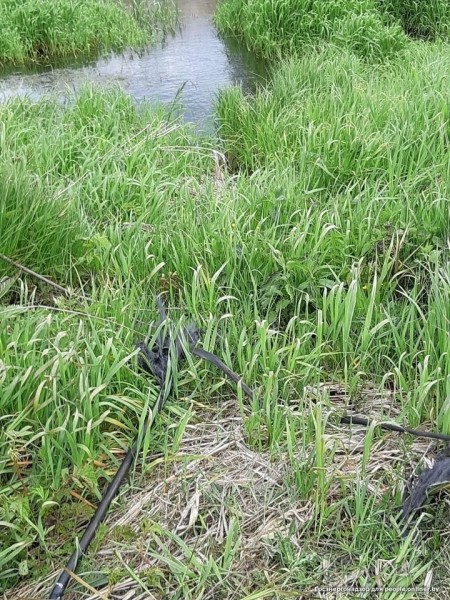 Один умер, двое ранены. Рыбаки массово открыли сезон электротравм Один умер, двое ранены. Рыбаки массово открыли сезон электротравм