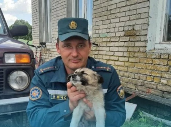 В Жабинке сотрудники МЧС спали щенка В Жабинке сотрудники МЧС спали щенка