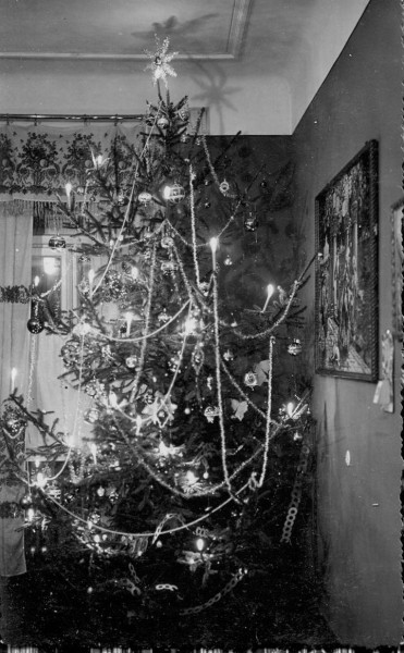 Старый Брест. Дом Пантелевича и его обитатели Старый Брест. Дом Пантелевича и его обитатели