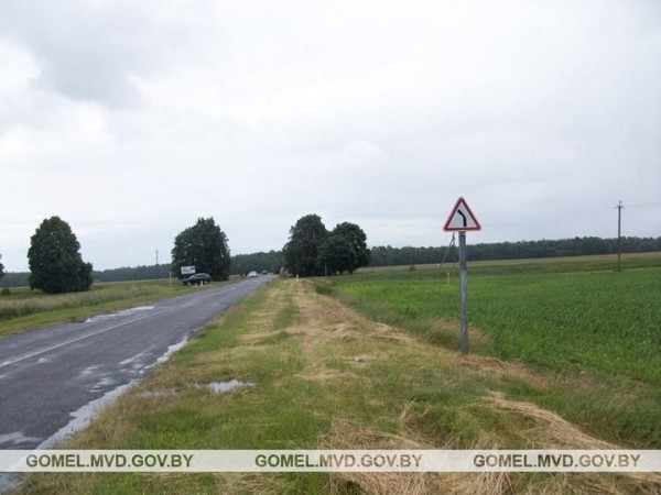 Водитель нарушила правила обгона – Renault с двумя детьми опрокинулся в канал Водитель нарушила правила обгона – Renault с двумя детьми опрокинулся в канал