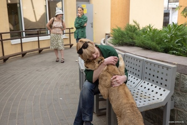 В минском зоопарке ко львенку, потерявшему маму, подселили щенка В минском зоопарке ко львенку, потерявшему маму, подселили щенка