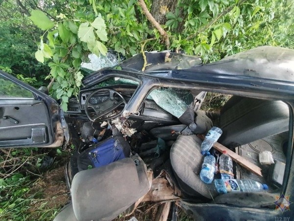 20-летний бесправник врезался в дерево в Кобринском районе 20-летний бесправник врезался в дерево в Кобринском районе