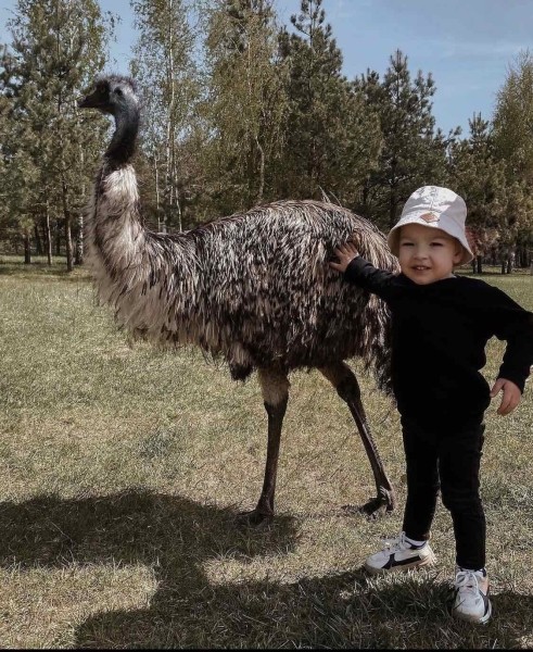 Летний сезон! Два парка! Редкие животные и птицы в «Диприз»! Летний сезон! Два парка! Редкие животные и птицы в «Диприз»!