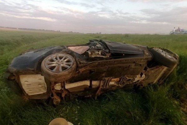 На трассу М1 выбежала косуля. Водитель попытался объехать ее, но вылетел в кювет На трассу М1 выбежала косуля. Водитель попытался объехать ее, но вылетел в кювет