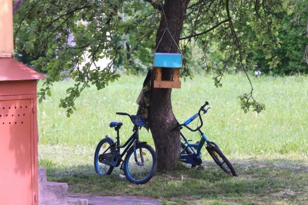 Узнали, что изменилось в жизни юного героя Ромы Когодовского после пожара Узнали, что изменилось в жизни юного героя Ромы Когодовского после пожара