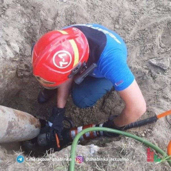 В Жабинке сотрудники МЧС спали щенка В Жабинке сотрудники МЧС спали щенка