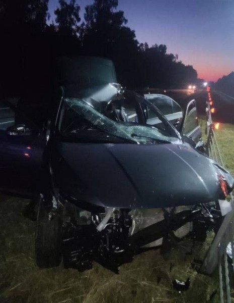 Лось спровоцировал смертельное ДТП на трассе М1 Брест – Минск – граница РФ Лось спровоцировал смертельное ДТП на трассе М1 Брест – Минск – граница РФ