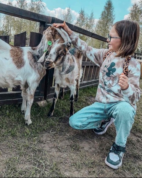 Летний сезон! Два парка! Редкие животные и птицы в «Диприз»! Летний сезон! Два парка! Редкие животные и птицы в «Диприз»!