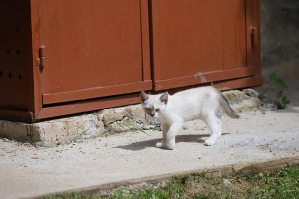 Узнали, что изменилось в жизни юного героя Ромы Когодовского после пожара Узнали, что изменилось в жизни юного героя Ромы Когодовского после пожара
