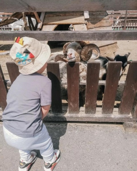 Летний сезон! Два парка! Редкие животные и птицы в «Диприз»! Летний сезон! Два парка! Редкие животные и птицы в «Диприз»!