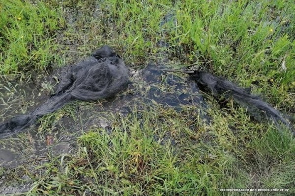 Один умер, двое ранены. Рыбаки массово открыли сезон электротравм Один умер, двое ранены. Рыбаки массово открыли сезон электротравм