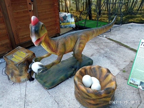 Жаркое лето в большом парке динозавров! Весело проведите время всей семьей в «Динолэнд» в Бресте Жаркое лето в большом парке динозавров! Весело проведите время всей семьей в «Динолэнд» в Бресте