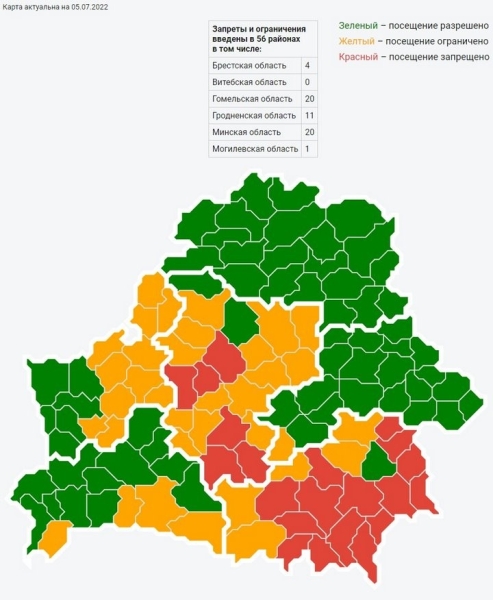 Можно идти за черникой: в Брестской области сняли запрет на посещение лесов Можно идти за черникой: в Брестской области сняли запрет на посещение лесов