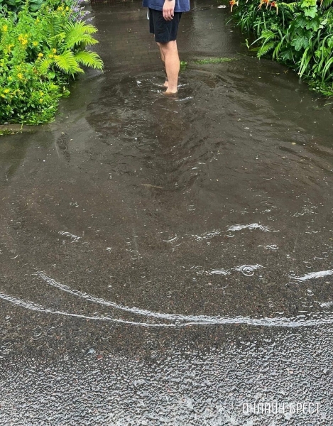 Читатель: Брест, ул.Гоголя. И так после каждого сильного дождя. Куда можно обратиться, чтобы решили данную проблему?
Читатель: Брест, ул.Гоголя. И так после каждого сильного дождя. Куда можно обратиться, чтобы решили данную проблему?