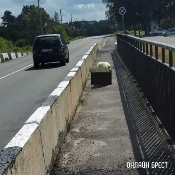 Читатель: И такое бывает. В Каменце человек справлял нужду прямо на мосту
Читатель: И такое бывает. В Каменце человек справлял нужду прямо на мосту