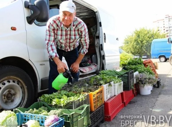 Зелени много не бывает! Малоритский фермер нашел необычную нишу на овощном рынке и не жалеет Зелени много не бывает! Малоритский фермер нашел необычную нишу на овощном рынке и не жалеет