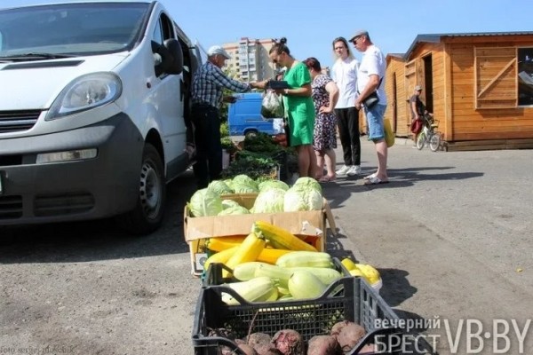 Зелени много не бывает! Малоритский фермер нашел необычную нишу на овощном рынке и не жалеет Зелени много не бывает! Малоритский фермер нашел необычную нишу на овощном рынке и не жалеет