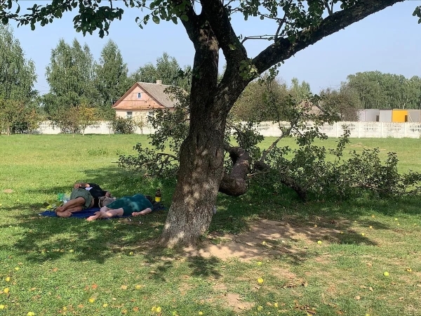 На границе новые рекорды: ожидание въезда в Польшу – более 60 часов