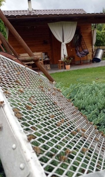 Увлечение родом из детства: как пчеловод из Кобрина продолжает дело родителей Увлечение родом из детства: как пчеловод из Кобрина продолжает дело родителей