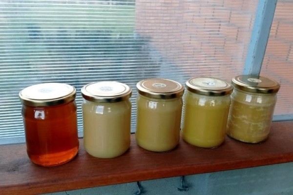 Увлечение родом из детства: как пчеловод из Кобрина продолжает дело родителей Увлечение родом из детства: как пчеловод из Кобрина продолжает дело родителей