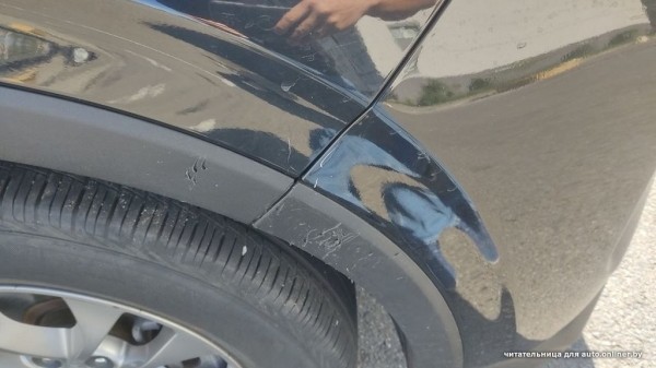 «Собаки истерзали наш автомобиль!». Происшествие в Минске