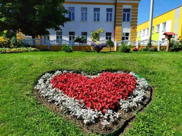 Полюбуйтесь на цветочный океан Видомли (агрогородок в Брестской области) Полюбуйтесь на цветочный океан Видомли (агрогородок в Брестской области)