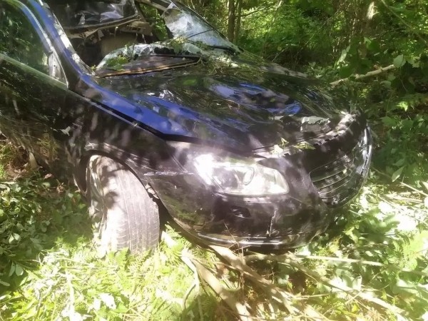 В Беларуси «Опель» сбил насмерть лося – пострадали водитель и пассажирка