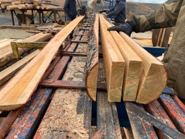 Минлесхоз рассказал о ценах на древесину для строительства жилья в Беларуси