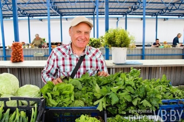 Зелени много не бывает! Малоритский фермер нашел необычную нишу на овощном рынке и не жалеет Зелени много не бывает! Малоритский фермер нашел необычную нишу на овощном рынке и не жалеет
