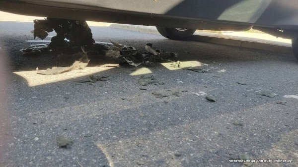 «Собаки истерзали наш автомобиль!». Происшествие в Минске