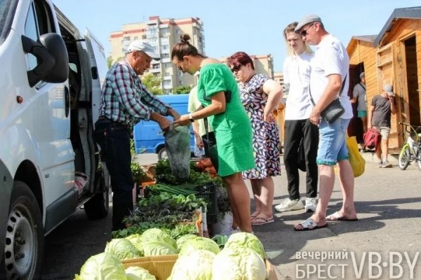 Зелени много не бывает! Малоритский фермер нашел необычную нишу на овощном рынке и не жалеет Зелени много не бывает! Малоритский фермер нашел необычную нишу на овощном рынке и не жалеет