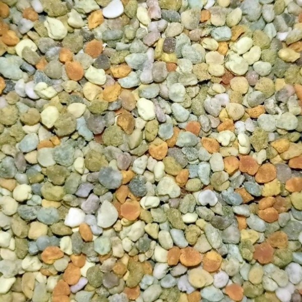 Увлечение родом из детства: как пчеловод из Кобрина продолжает дело родителей Увлечение родом из детства: как пчеловод из Кобрина продолжает дело родителей