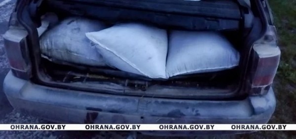 Сливают дизтопливо, воруют моторное масло и фуражную муку. Работники АПК Брестчины попадаются на хищениях Сливают дизтопливо, воруют моторное масло и фуражную муку. Работники АПК Брестчины попадаются на хищениях