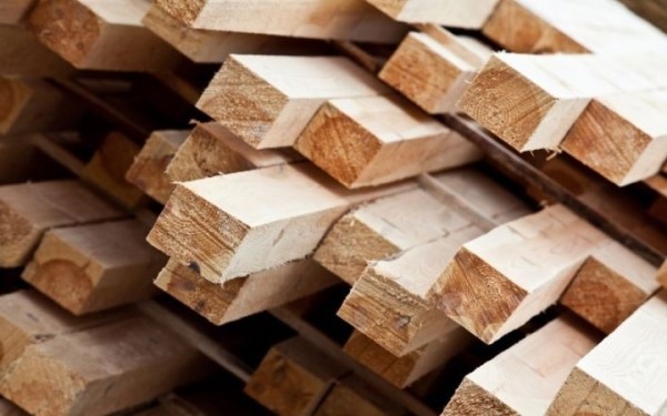 Лукашенко поменял правила реализации древесины. Теперь физлица смогут купить ее прямо в лесхозах