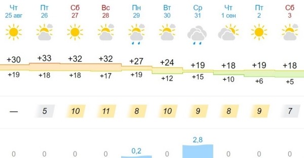 Желтый уровень опасности из-за жары объявлен в Брестской области 26 августа