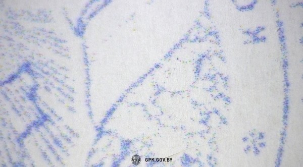 Мачеха пыталась незаконно вывезти ребенка из Беларуси