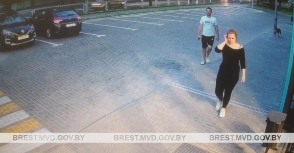 В Бресте ищут хозяйку собаки бойцовской породы В Бресте ищут хозяйку собаки бойцовской породы