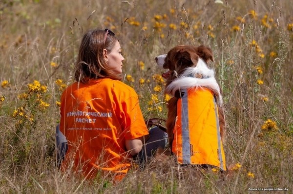 Гадюки действительно убивают? Истории реальных белорусов, которых кусала змея Гадюки действительно убивают? Истории реальных белорусов, которых кусала змея