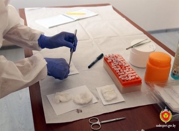 На границе в Бресте изъята крупная партия наркотиков (186 свертков с гашишем) На границе в Бресте изъята крупная партия наркотиков (186 свертков с гашишем)