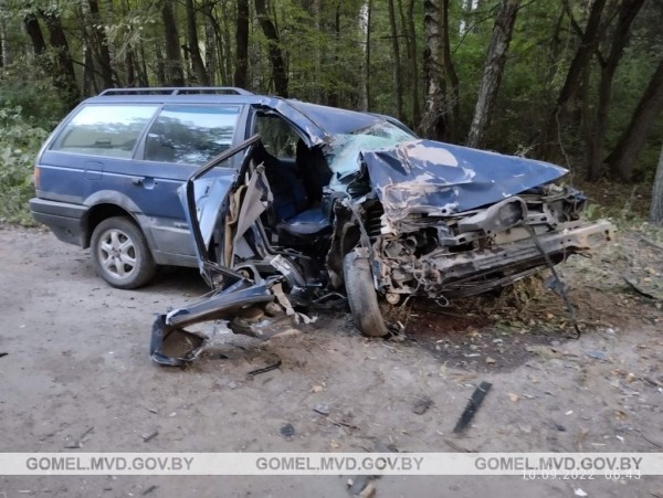 В Беларуси произошло смертельное ДТП из-за выскочившего на дорогу животного. Водитель бросила пассажирку и пошла домой